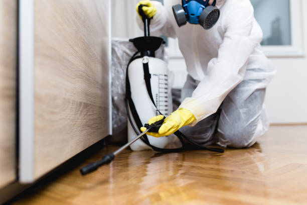 Best Insect Control  in Greenport West, NY