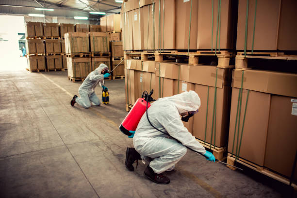 Best Flea Control Services  in Greenport West, NY