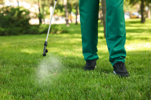 Best Termite Control Services  in Greenport West, NY