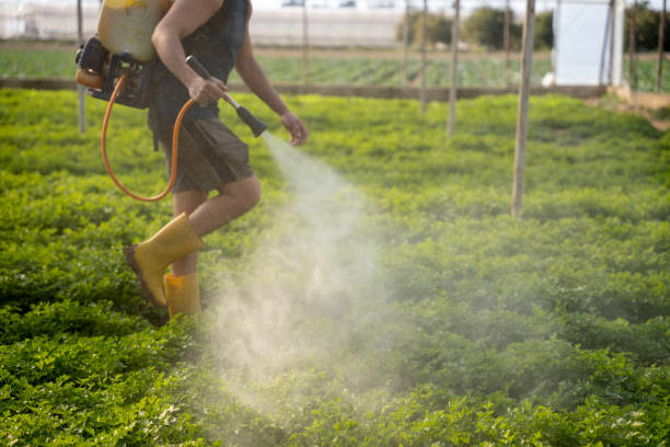 Best Pest Control Cost  in Greenport West, NY