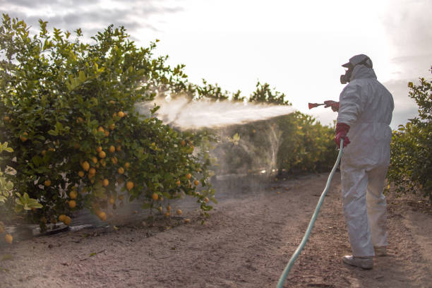 Best Commercial Pest Control Services  in Greenport West, NY