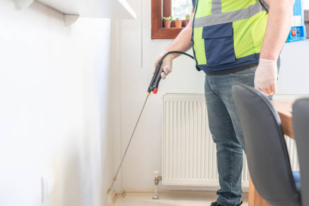 Professional Pest Control in Greenport West, NY