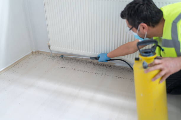 Best Best Pest Control Companies  in Greenport West, NY